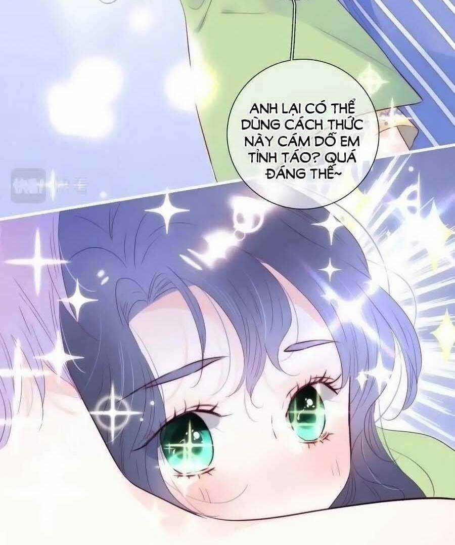 Hoa Bỏ Chạy Với Nhím Rồi Chapter 95.5 trang 15