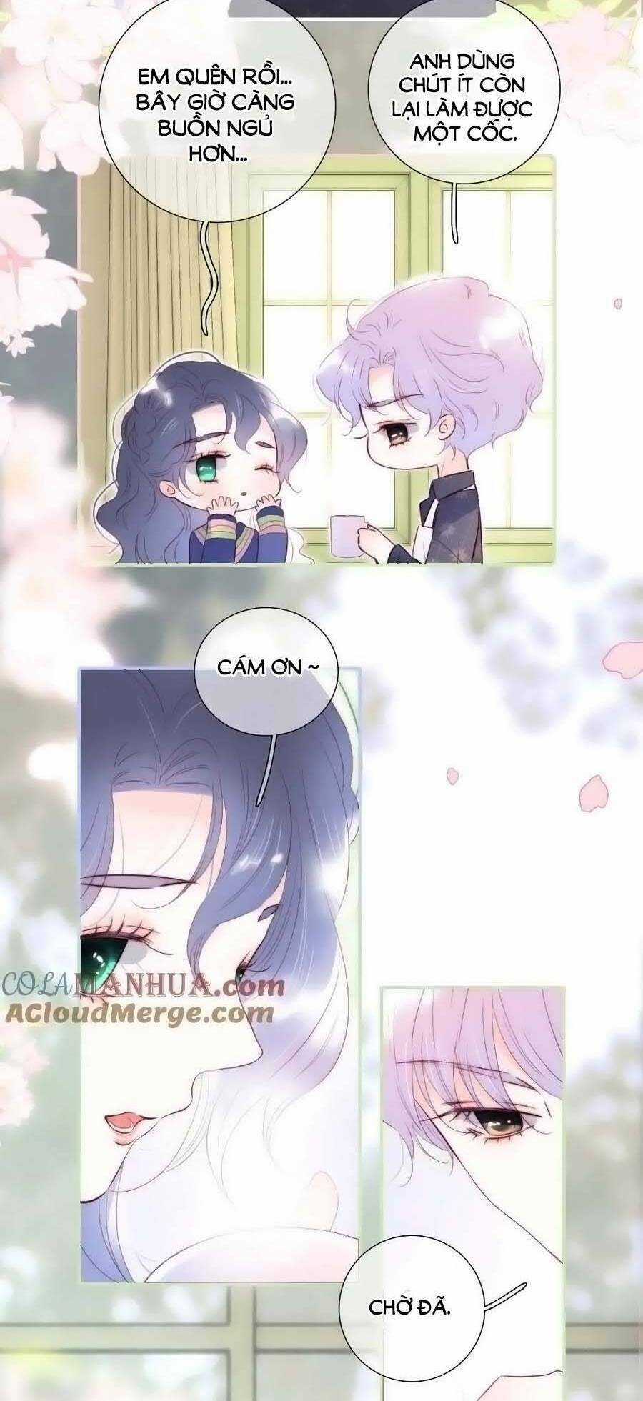 Hoa Bỏ Chạy Với Nhím Rồi Chapter 95.5 trang 21