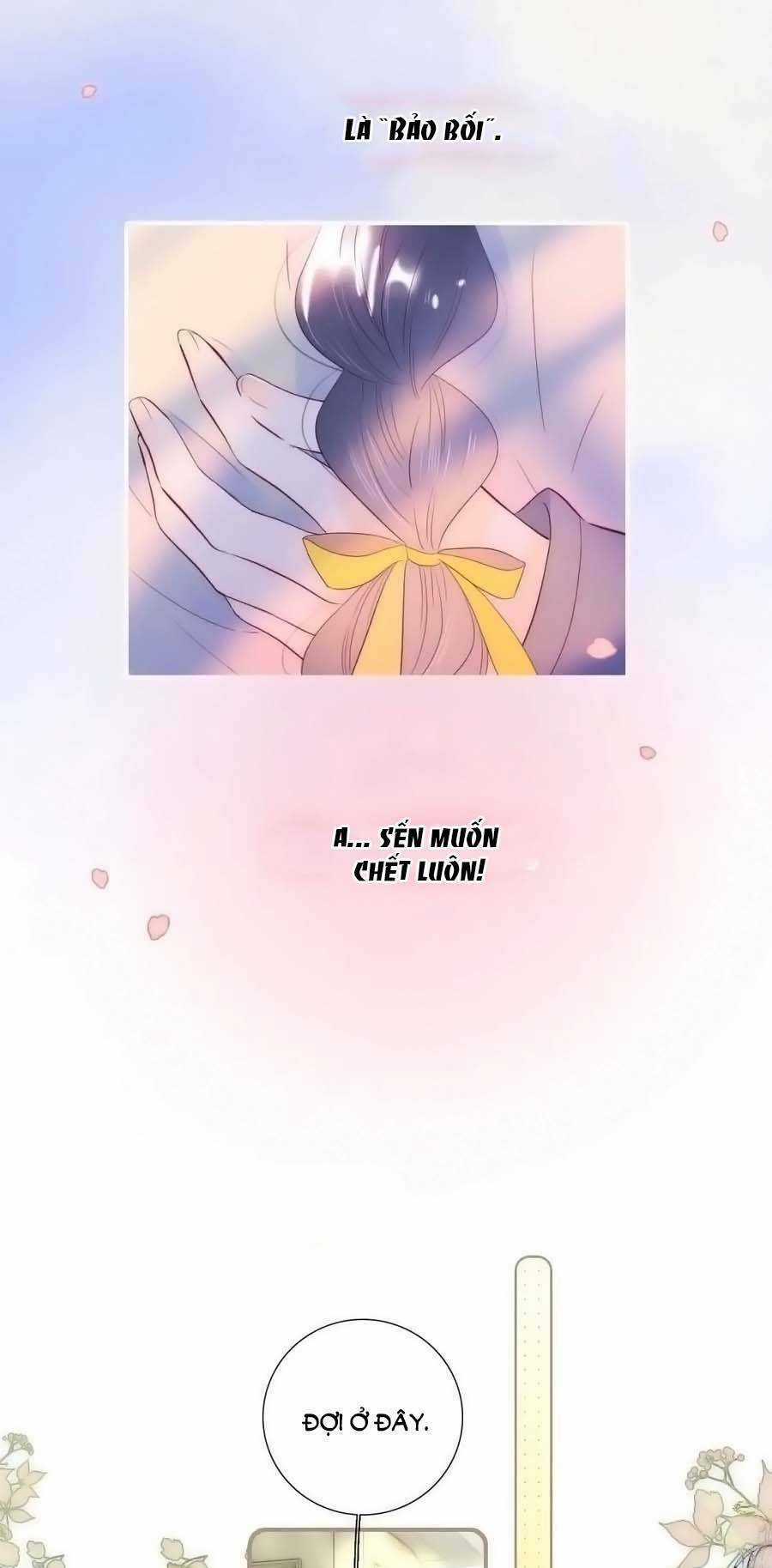 Hoa Bỏ Chạy Với Nhím Rồi Chapter 96 trang 20