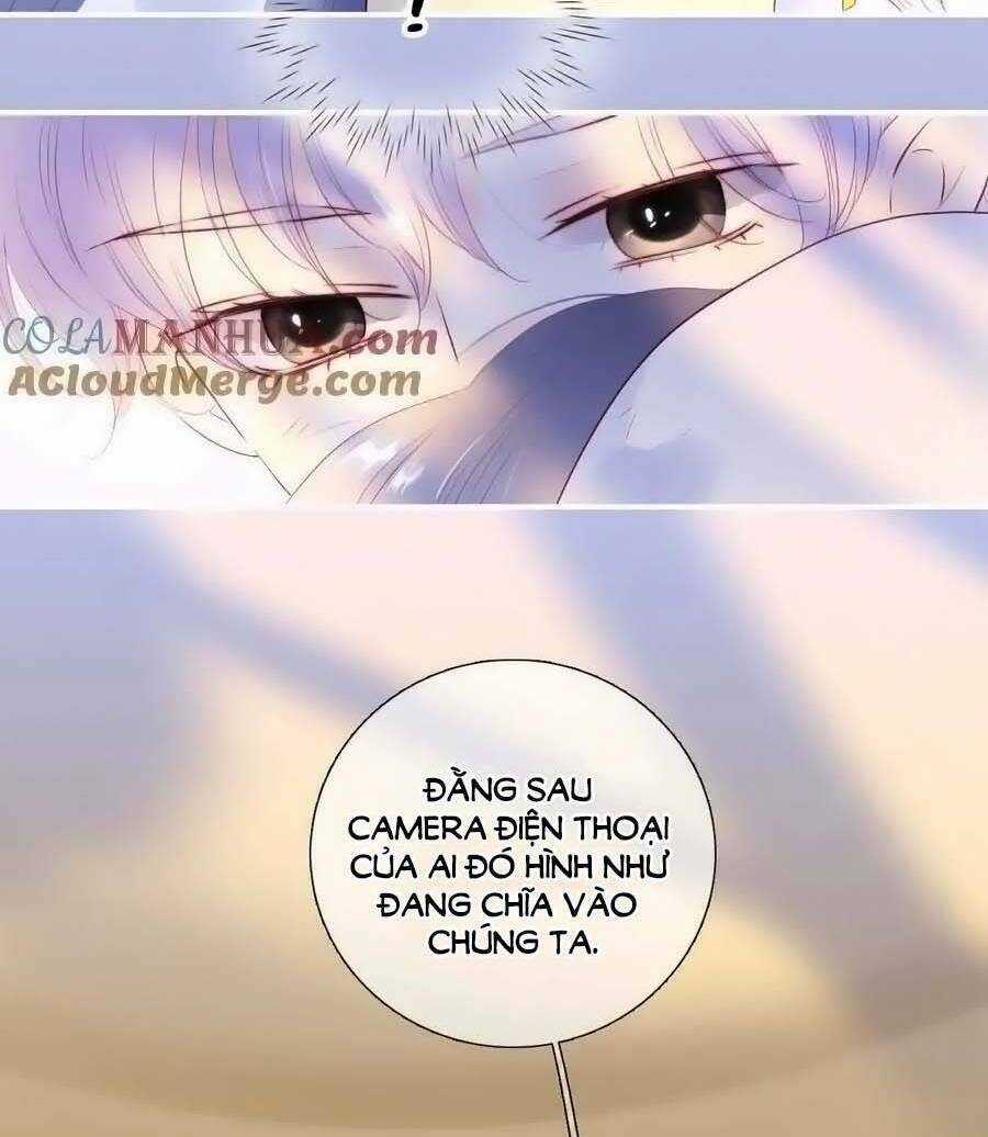 Hoa Bỏ Chạy Với Nhím Rồi Chapter 96 trang 9