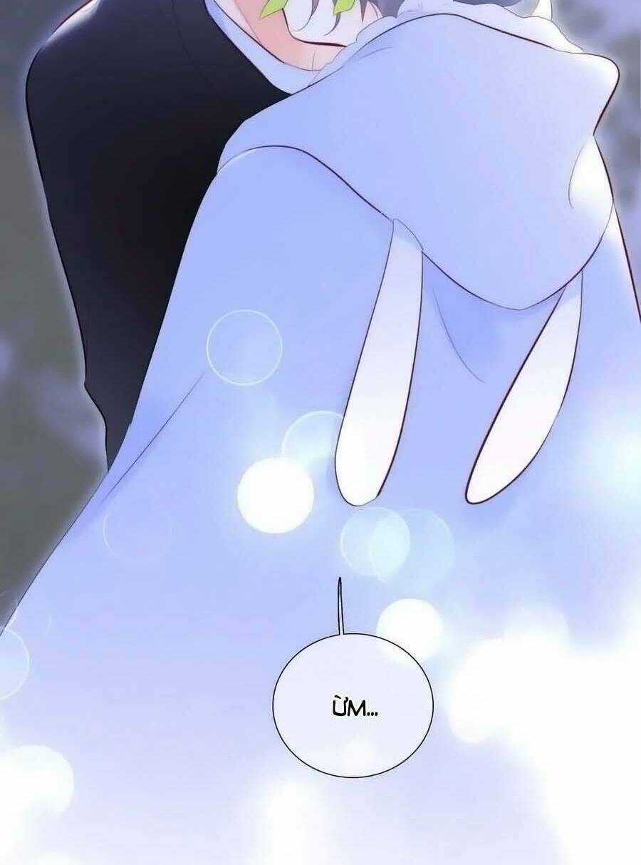 Hoa Bỏ Chạy Với Nhím Rồi Chapter 99 trang 16