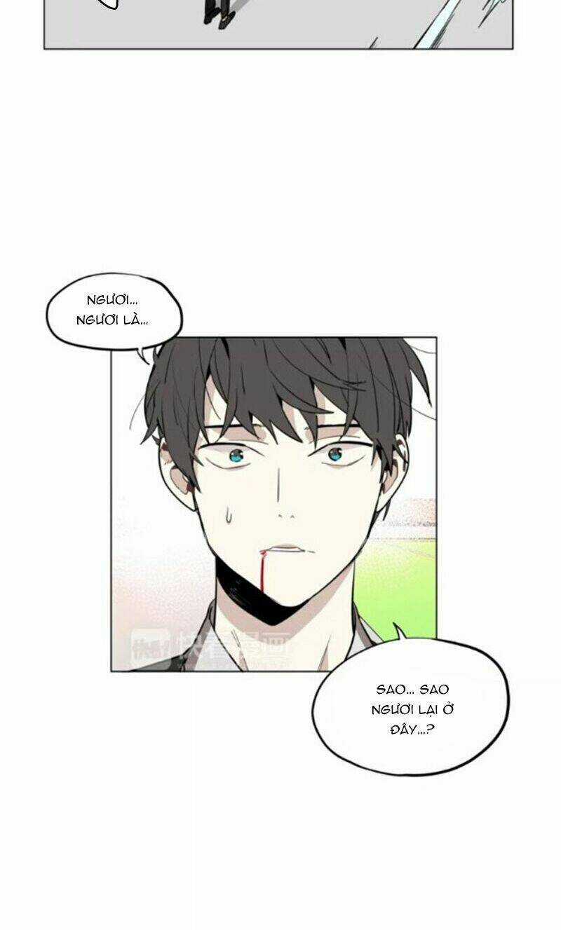 Hoa Đạo Sĩ Chapter 50 trang 19