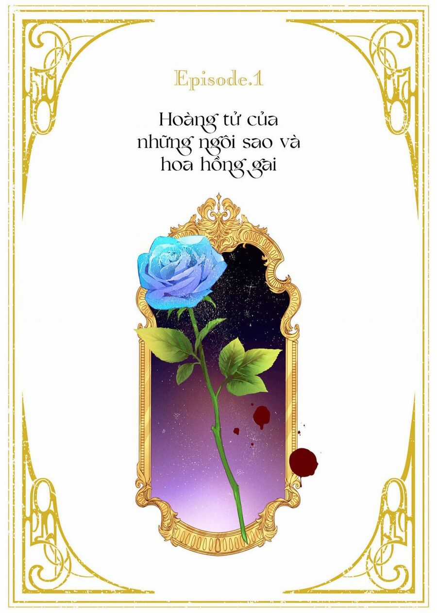 Hoa Hồng Ẩn Giấu Sao Băng Chapter 1 trang 1