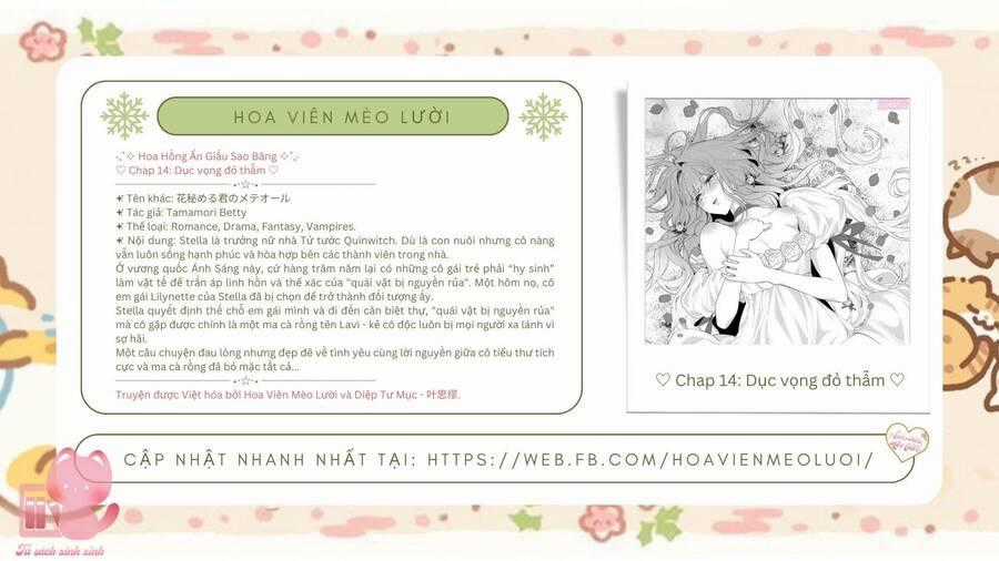 Hoa Hồng Ẩn Giấu Sao Băng Chapter 14 trang 1
