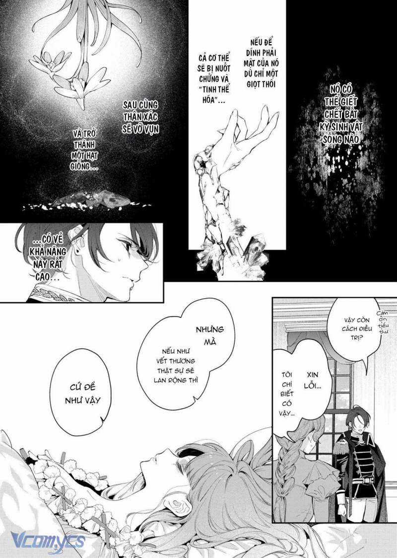 Hoa Hồng Ẩn Giấu Sao Băng Chapter 6 trang 27