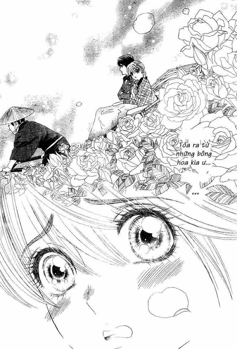 Hoa Hồng Đỏ Chapter 1 trang 45