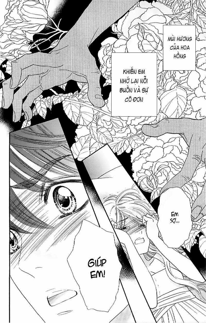 Hoa Hồng Đỏ Chapter 28 trang 11