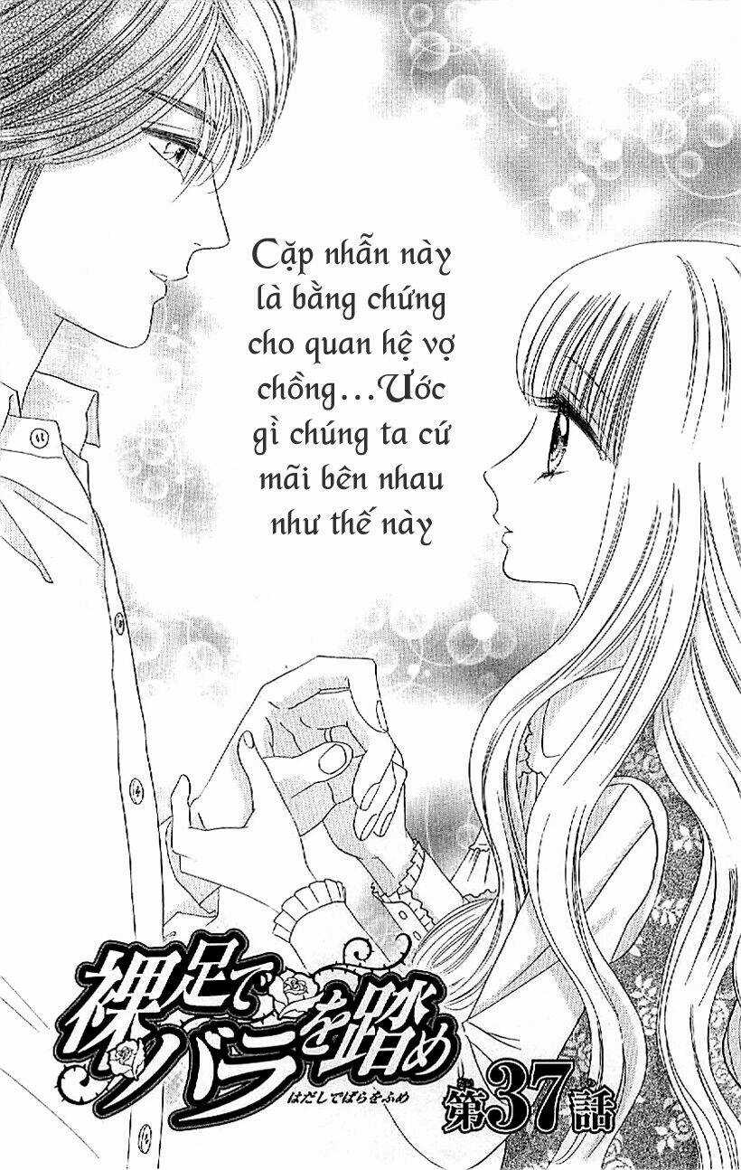 Hoa Hồng Đỏ Chapter 37 trang 2