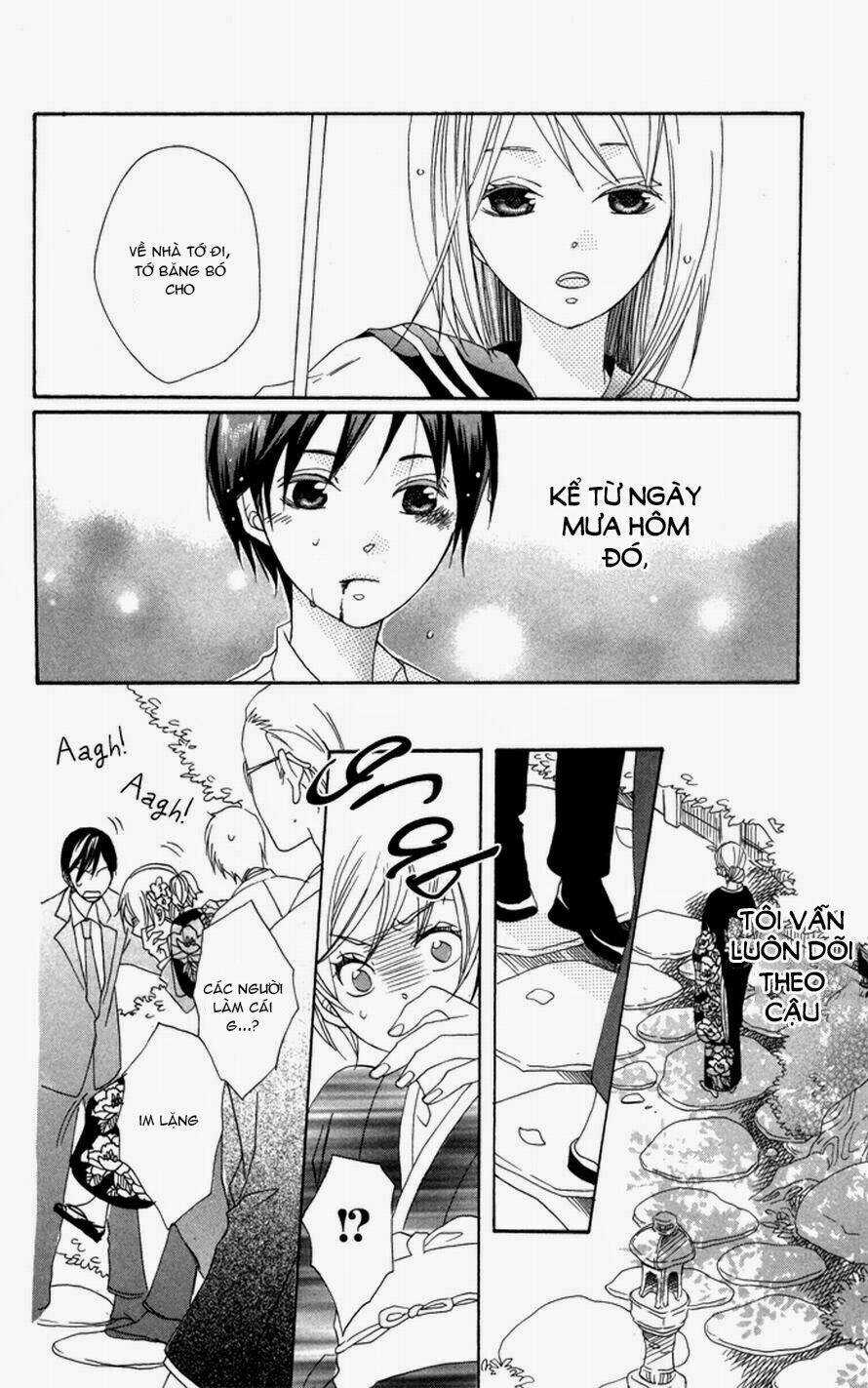 Hoa Hồng Hoang Dã Chapter 1 trang 30