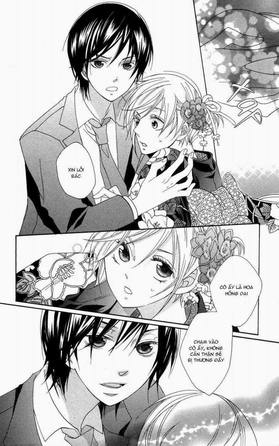 Hoa Hồng Hoang Dã Chapter 1 trang 32