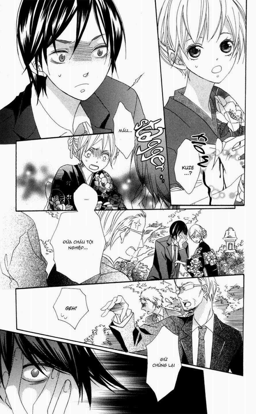 Hoa Hồng Hoang Dã Chapter 1 trang 33