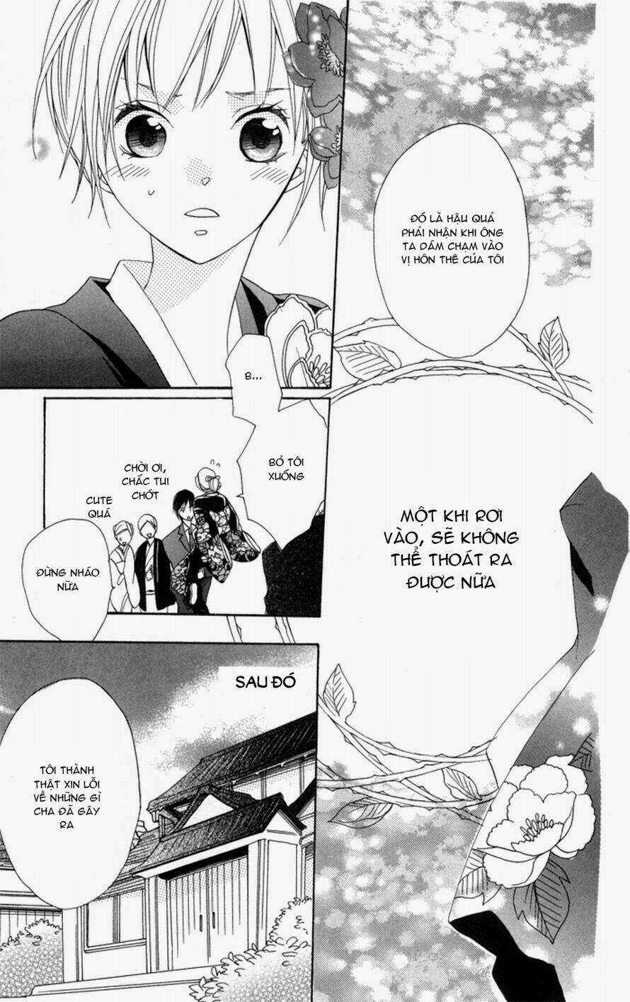 Hoa Hồng Hoang Dã Chapter 1 trang 41