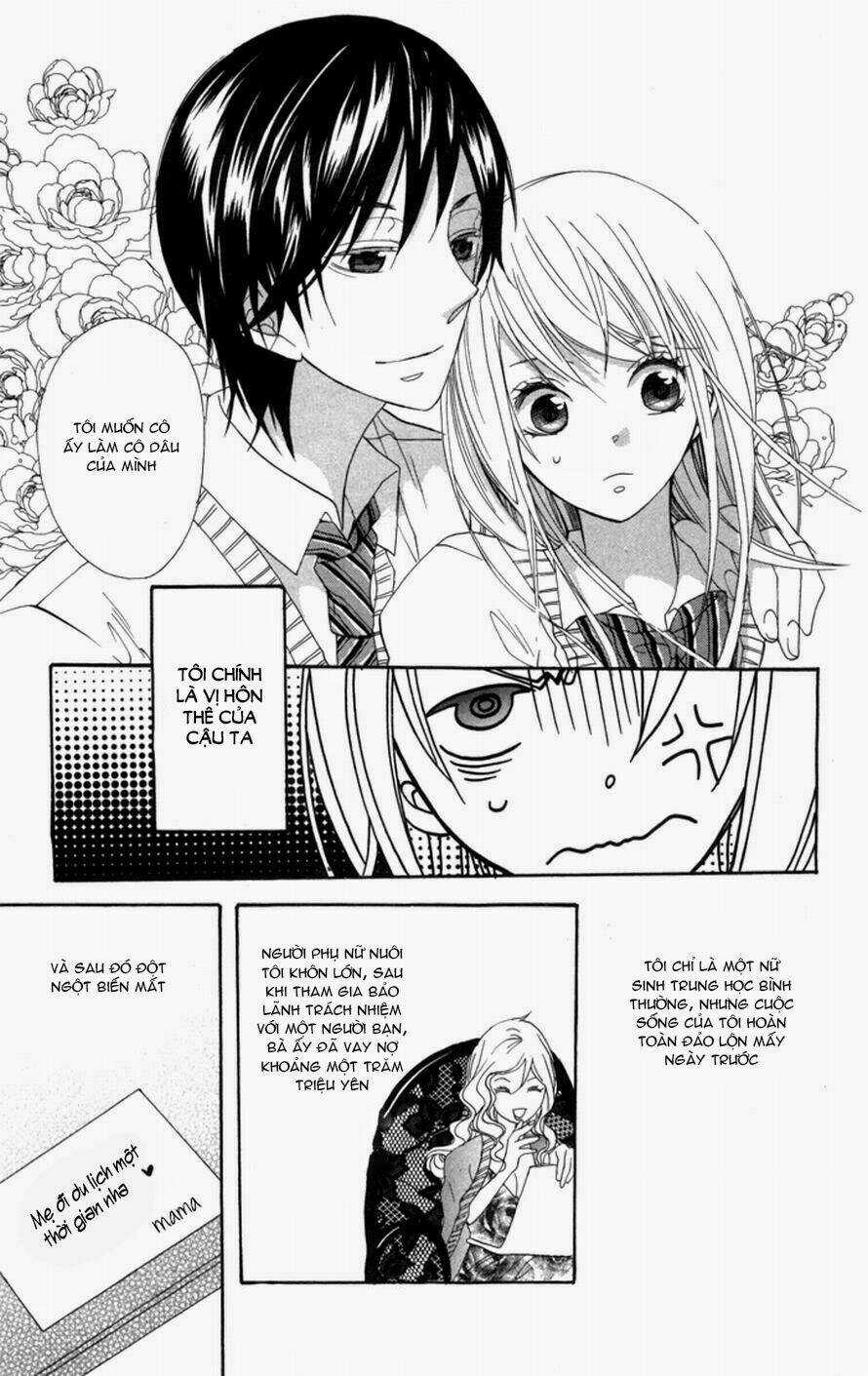 Hoa Hồng Hoang Dã Chapter 1 trang 7