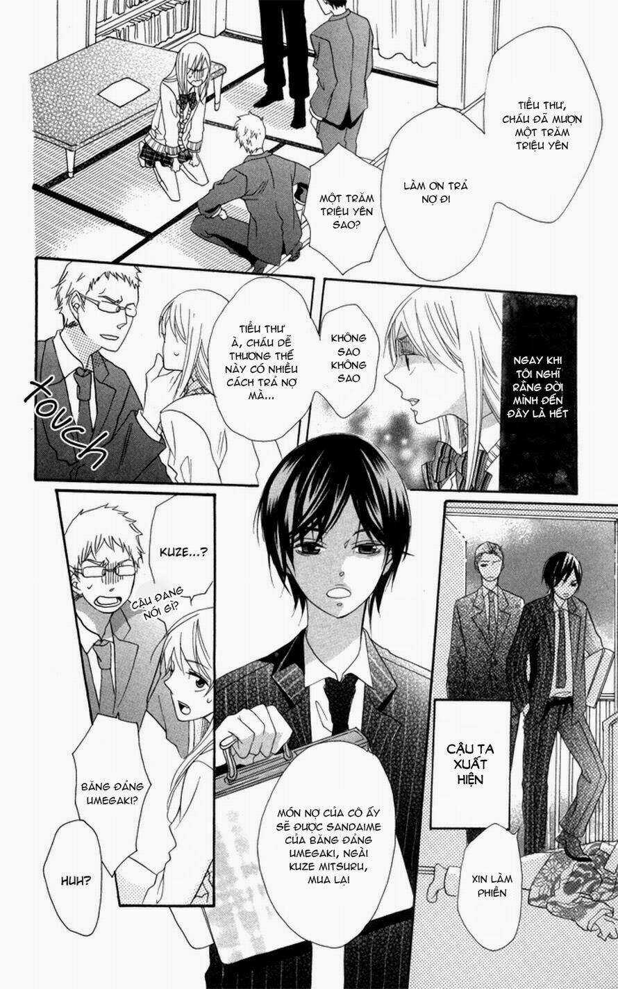 Hoa Hồng Hoang Dã Chapter 1 trang 8