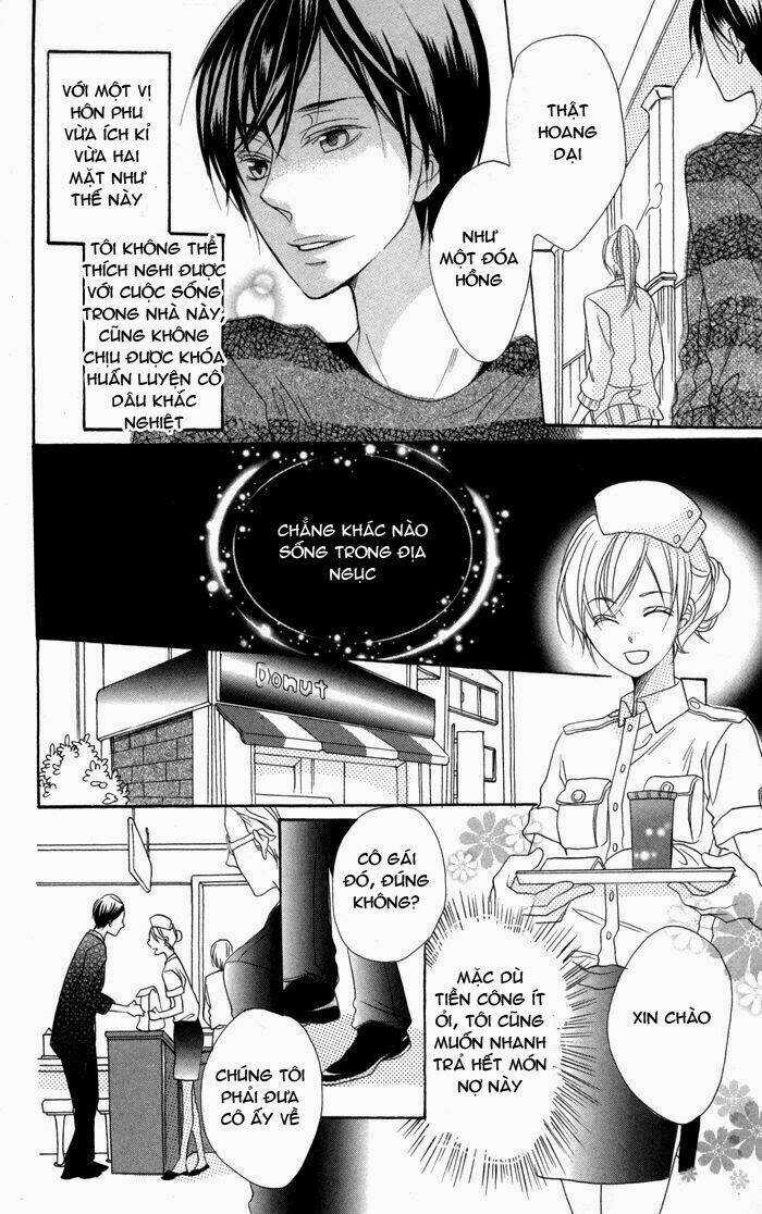 Hoa Hồng Hoang Dã Chapter 2 trang 10