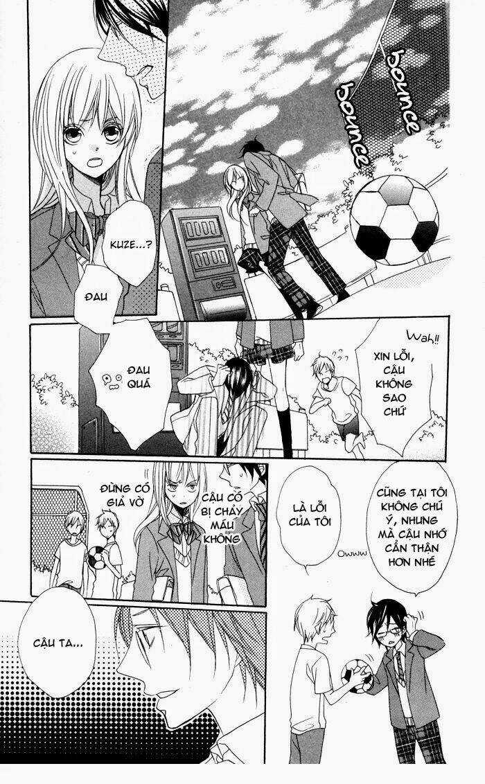 Hoa Hồng Hoang Dã Chapter 2 trang 15