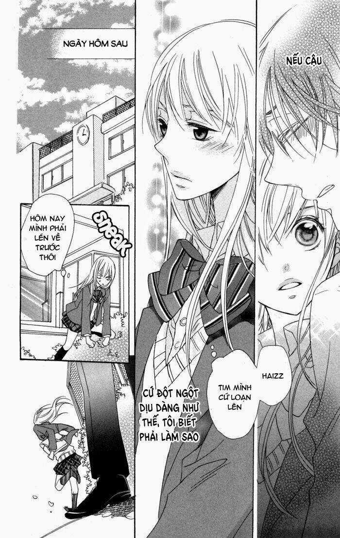 Hoa Hồng Hoang Dã Chapter 2 trang 18