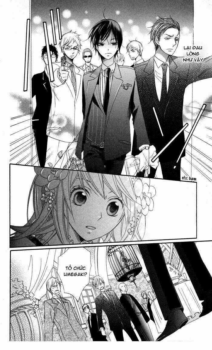 Hoa Hồng Hoang Dã Chapter 2 trang 24