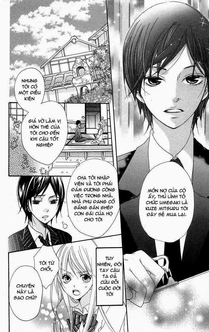 Hoa Hồng Hoang Dã Chapter 2 trang 6