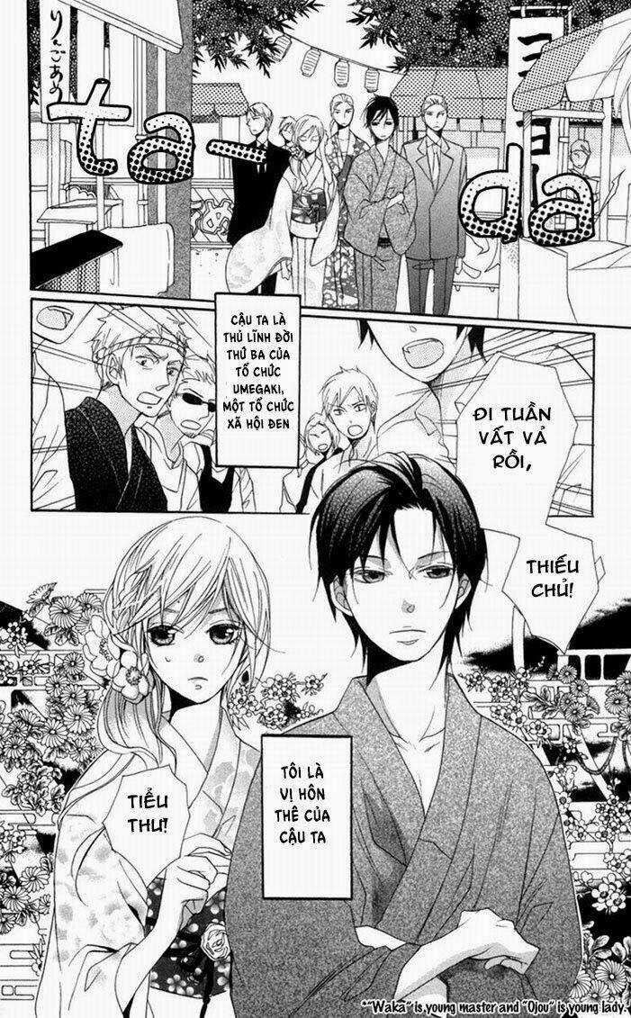 Hoa Hồng Hoang Dã Chapter 3 trang 3