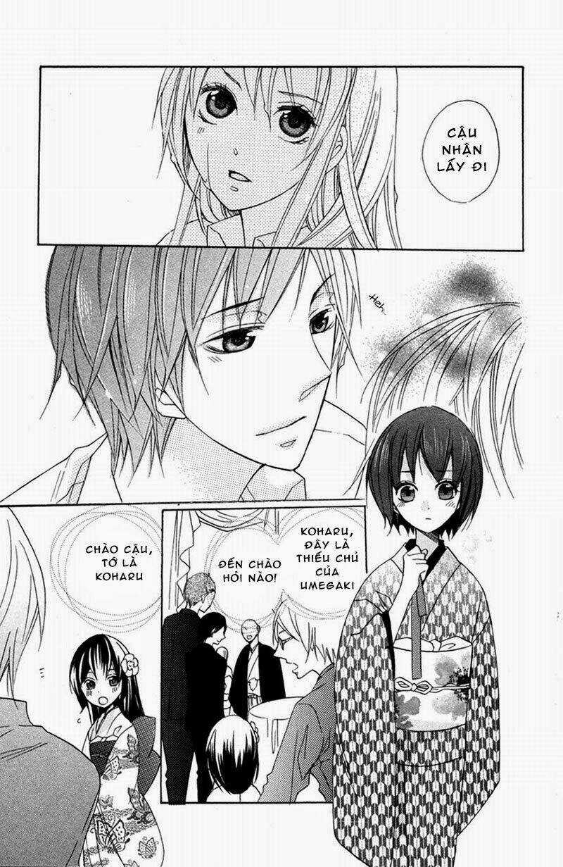 Hoa Hồng Hoang Dã Chapter 4 trang 33