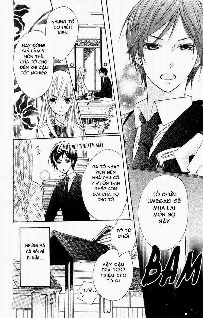 Hoa Hồng Hoang Dã Chapter 4 trang 5