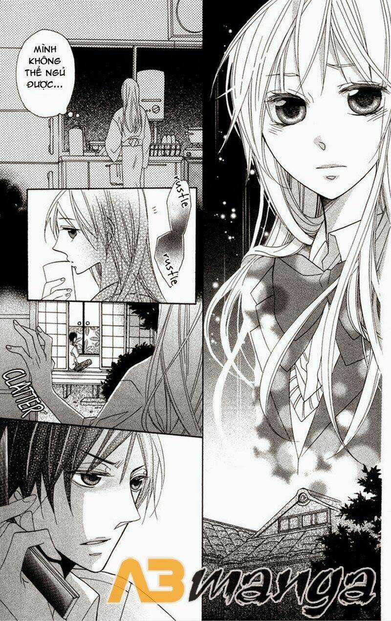 Hoa Hồng Hoang Dã Chapter 7 trang 12