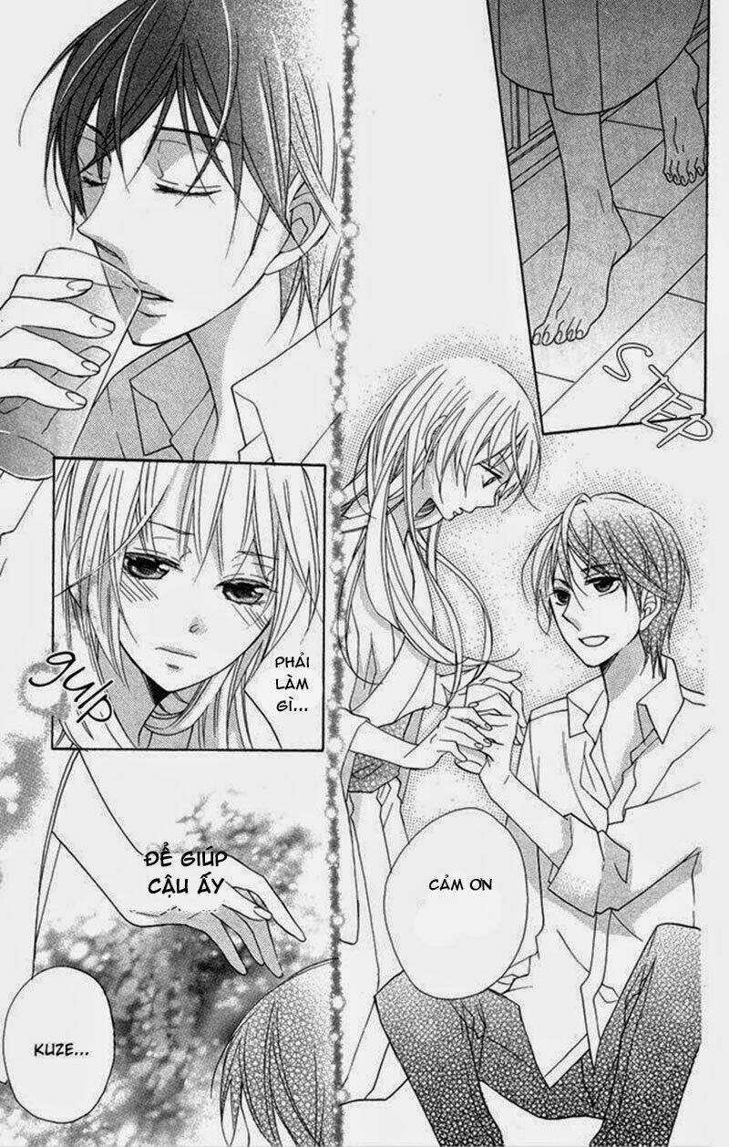 Hoa Hồng Hoang Dã Chapter 7 trang 14