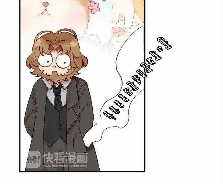 Hoa Hồng Tặng Anh Chapter 11 trang 68