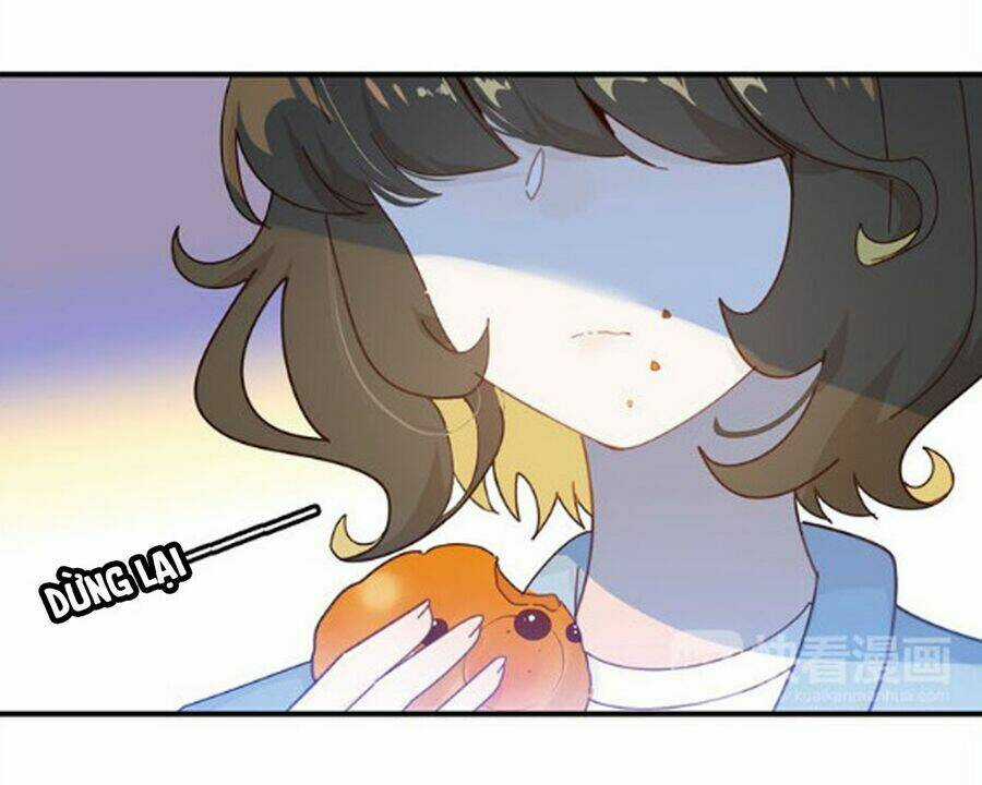 Hoa Hồng Tặng Anh Chapter 27 trang 25