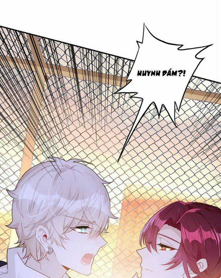 Hoa Hồng Tặng Anh Chapter 28 trang 11