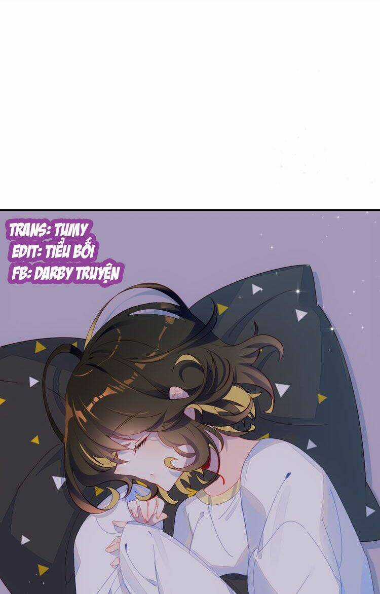 Hoa Hồng Tặng Anh Chapter 5 trang 0