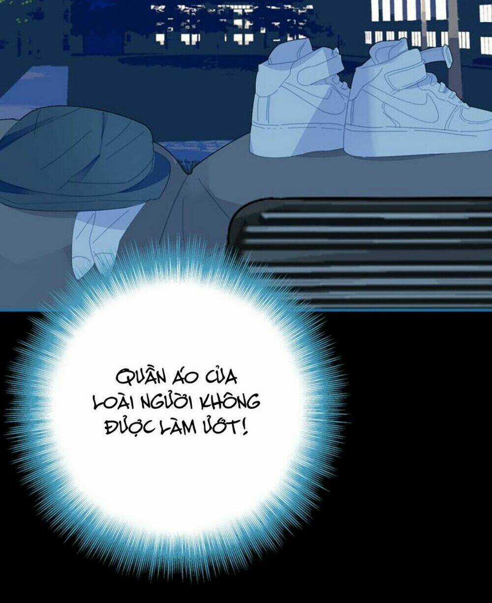 Hoa Hồng Tặng Anh Chapter 9 trang 22