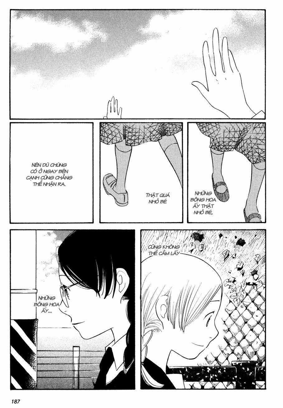 Hoa Hồng Tím Ngọt Ngào Chapter 7 trang 22