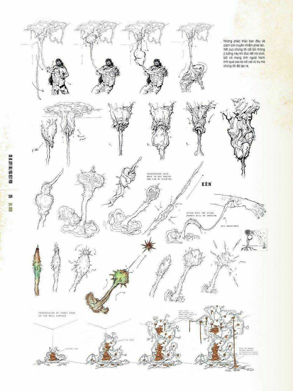 HỌA LIỆU Chapter 5 trang 15