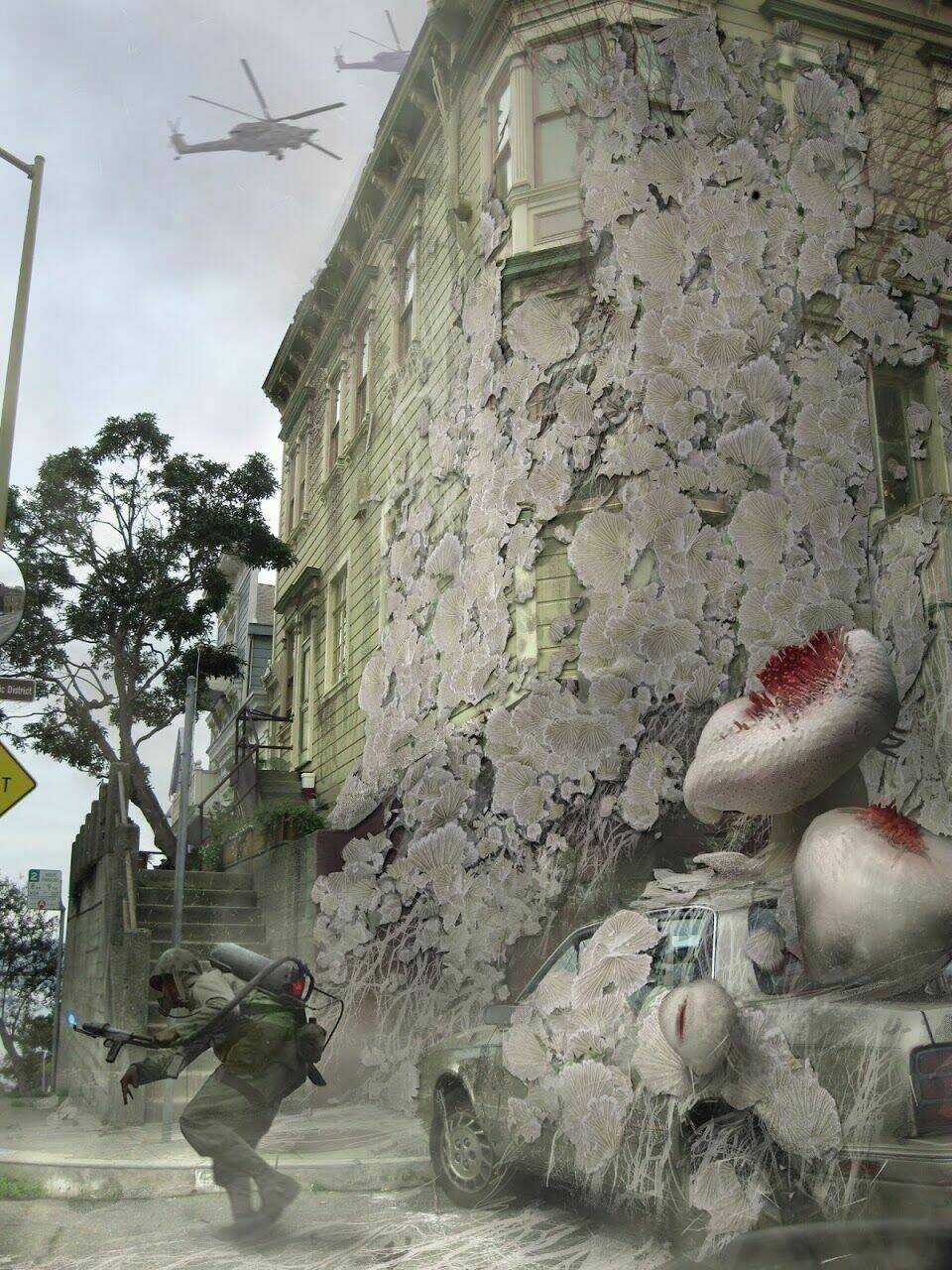 HỌA LIỆU Chapter 5 trang 17