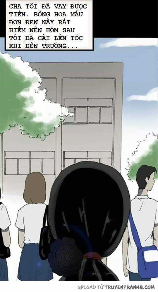 Hoa Mẫu Đơn Đen Chapter 3 trang 13