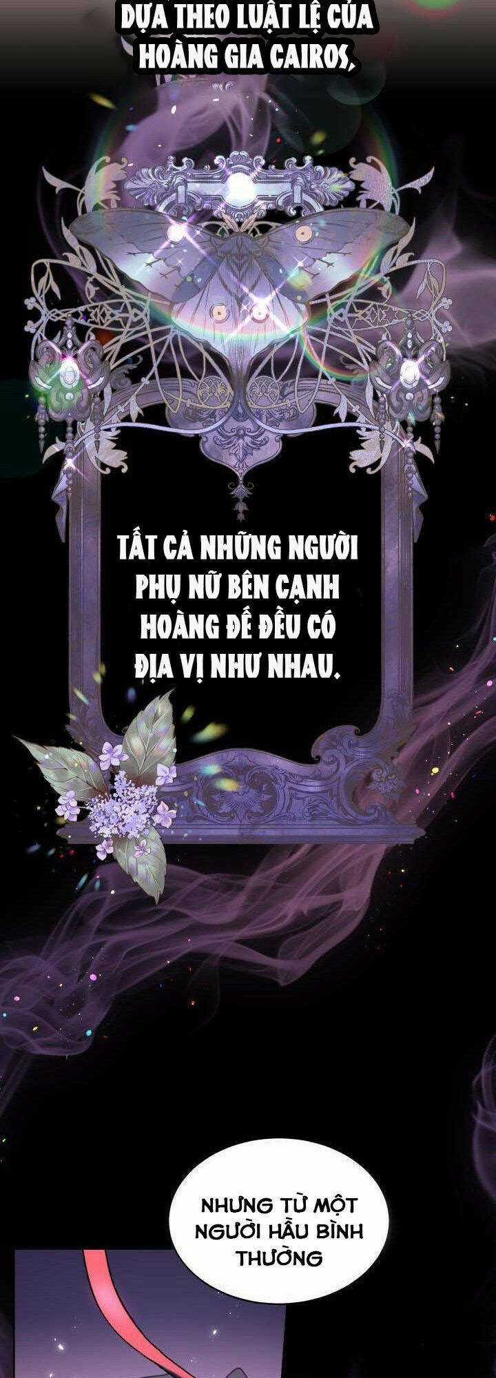 Hoa Nguyệt Quế Đỏ Tặng Hoàng Đế Của Tôi Chapter 12 trang 54