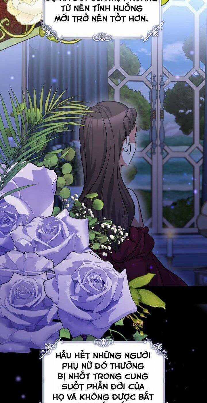 Hoa Nguyệt Quế Đỏ Tặng Hoàng Đế Của Tôi Chapter 13 trang 2
