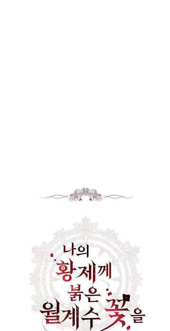 Hoa Nguyệt Quế Đỏ Tặng Hoàng Đế Của Tôi Chapter 13 trang 24