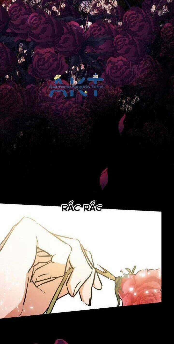 Hoa Nguyệt Quế Đỏ Tặng Hoàng Đế Của Tôi Chapter 13 trang 75