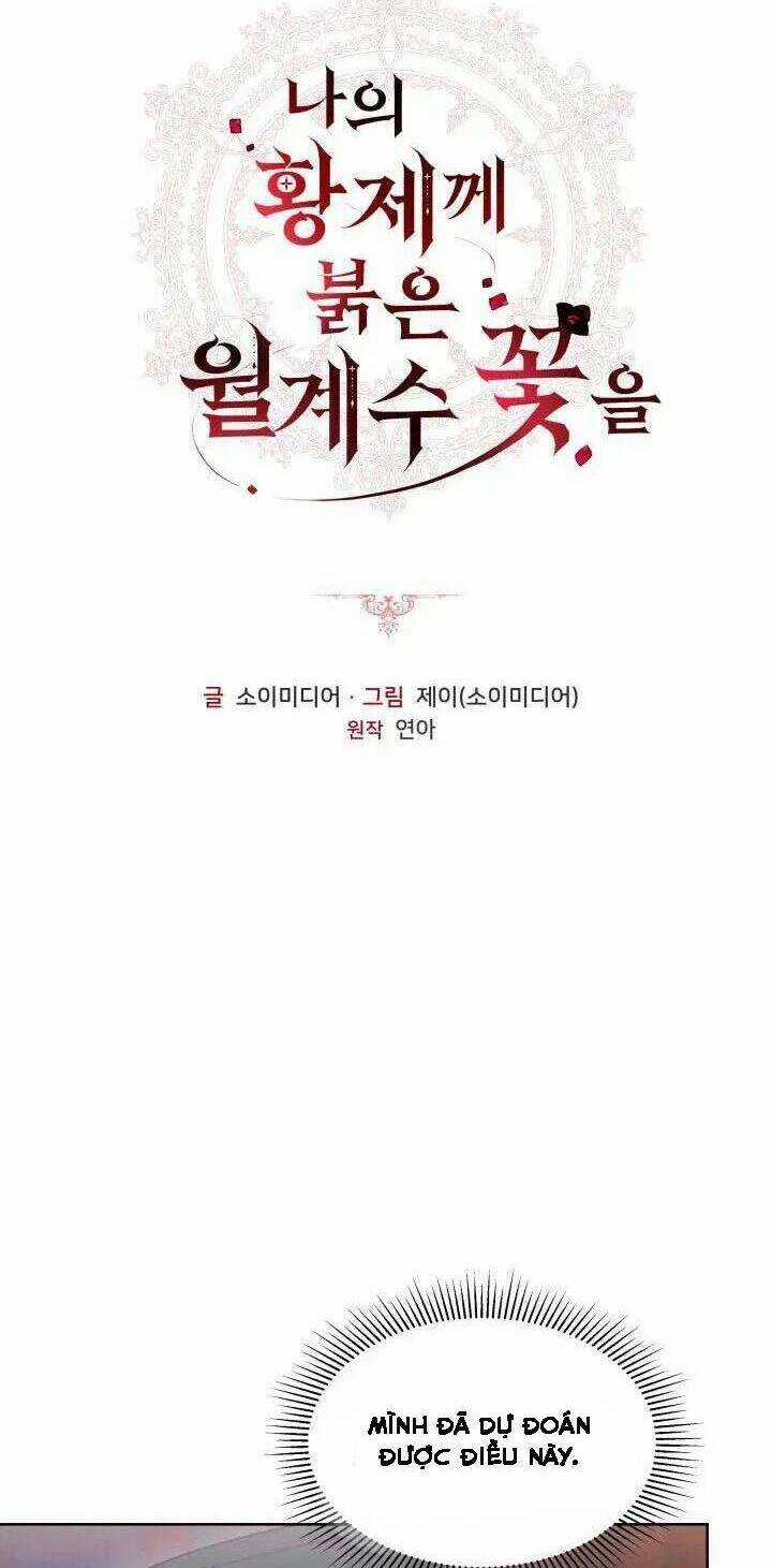 Hoa Nguyệt Quế Đỏ Tặng Hoàng Đế Của Tôi Chapter 16 trang 4