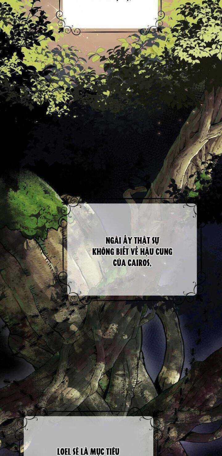 Hoa Nguyệt Quế Đỏ Tặng Hoàng Đế Của Tôi Chapter 7 trang 84