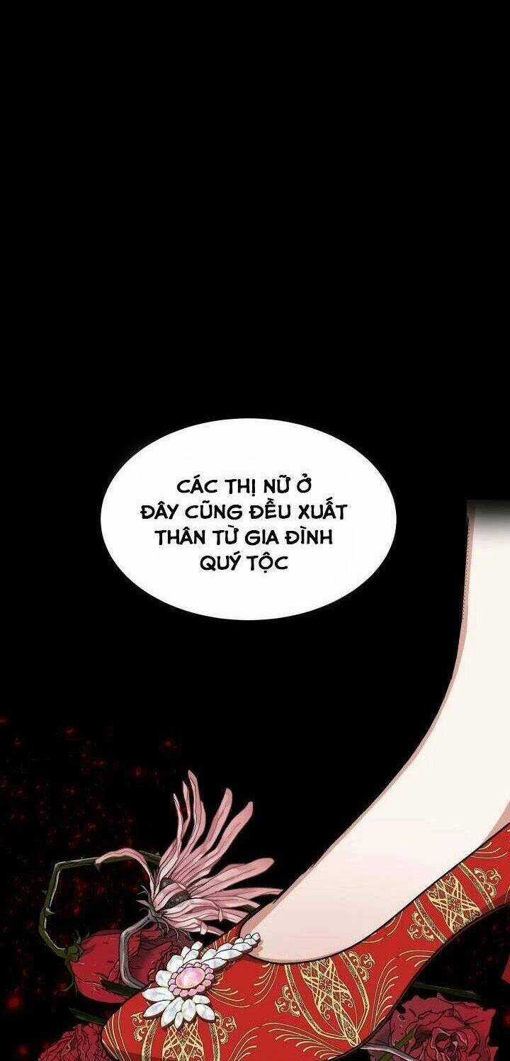 Hoa Nguyệt Quế Đỏ Tặng Hoàng Đế Của Tôi Chapter 8 trang 19