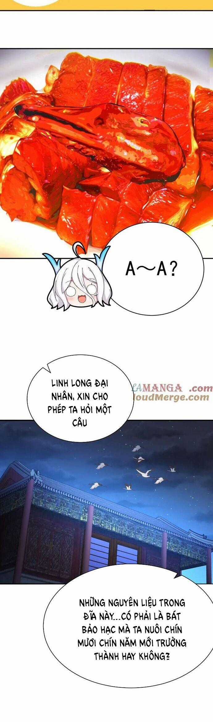 Hóa Ra Các Cô Ấy Mới Là Nhân Vật Chính Chapter 48 trang 26