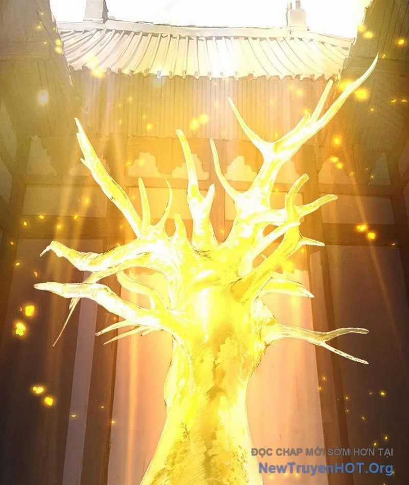 Hóa Ra Các Cô Ấy Mới Là Nhân Vật Chính Chương 105 trang 70