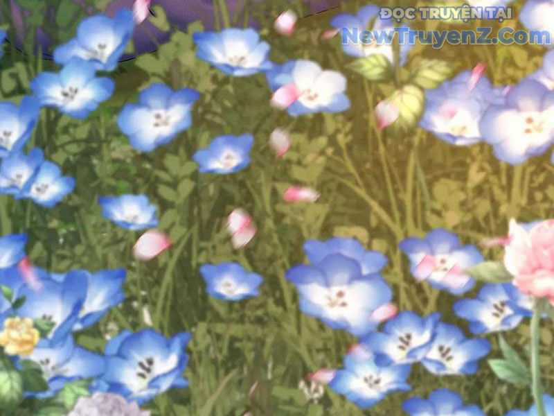 Hóa Ra Các Cô Ấy Mới Là Nhân Vật Chính Chương 84 trang 33