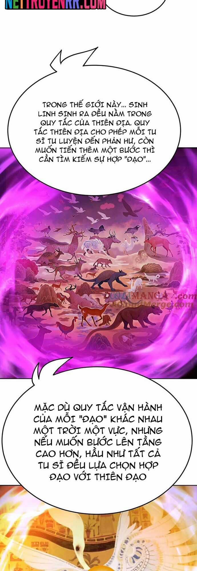 Hóa Ra Các Cô Ấy Mới Là Nhân Vật Chính Chương 88 trang 2