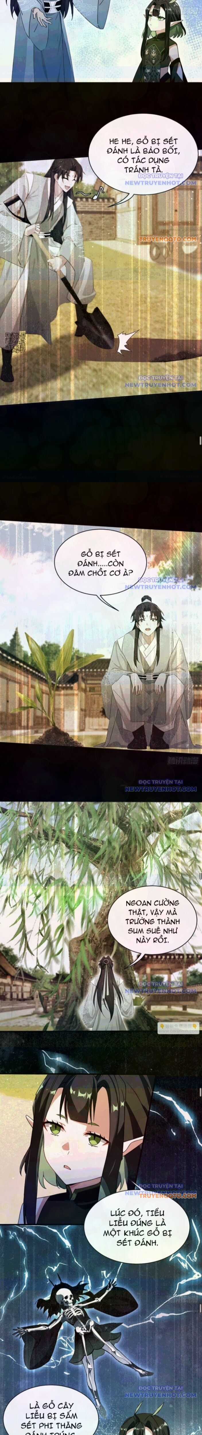 Hoá Ra Ta Đã Vô Địch Từ Lâu Chapter 265 trang 6