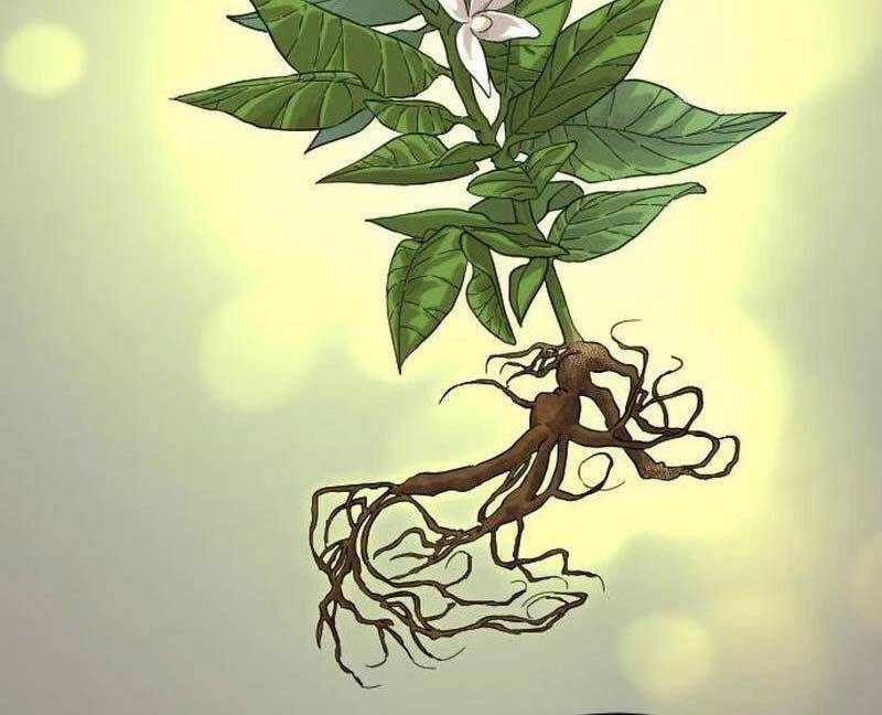 Hoa Sơn Tái Khởi Chapter 115 trang 16